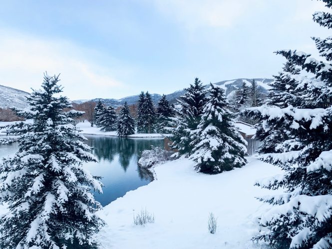 winter scene overlooking blue lake with mountains in the background and snow on the ground and in the pine trees