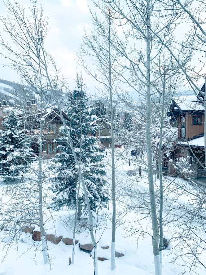 winter snow lined street with hotel villas in the snow with tall pine trees